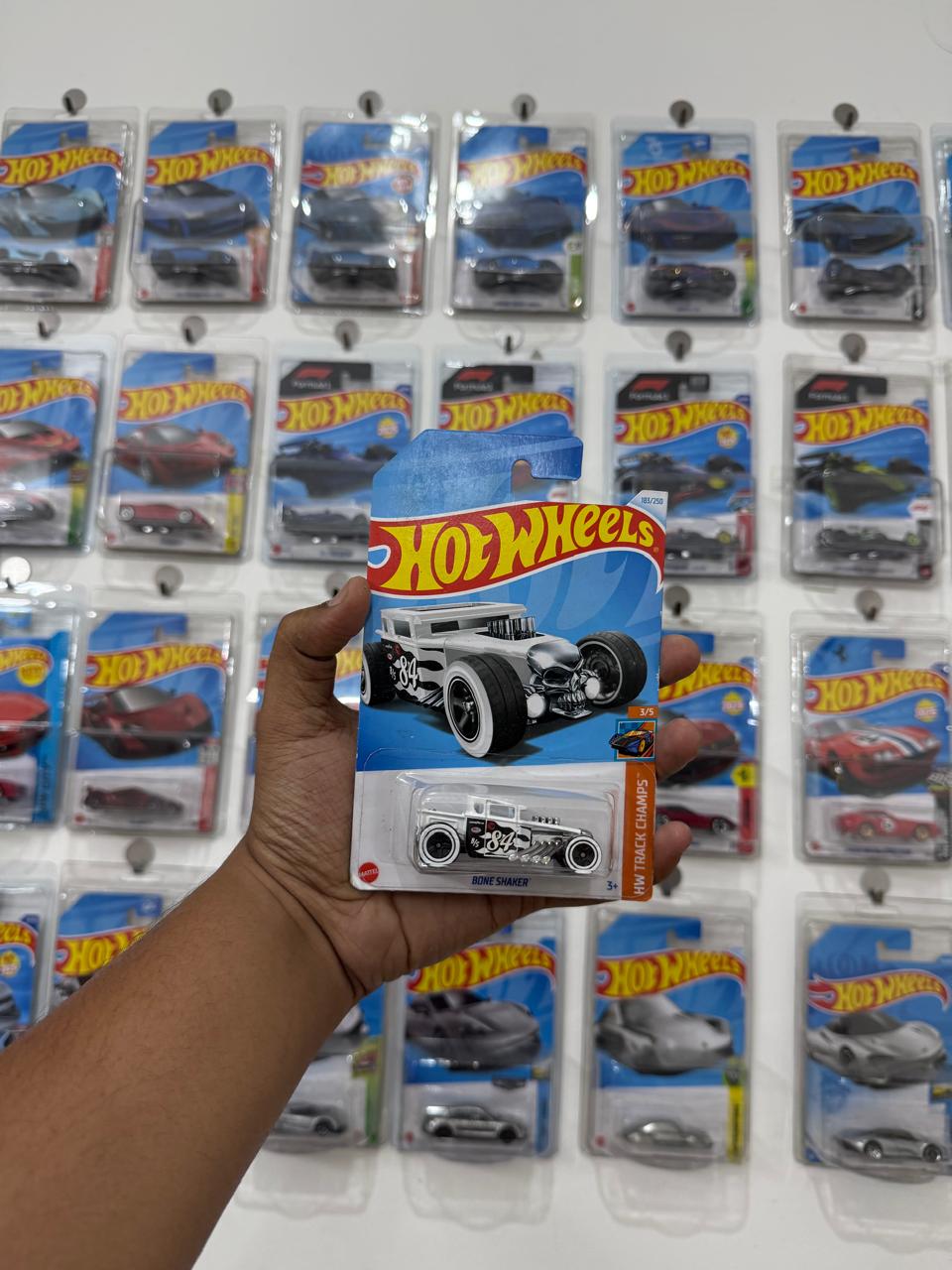 TREASURE HUNT BONE SHAKER